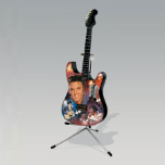 Elvis King of Rock "n" Roll Guitar